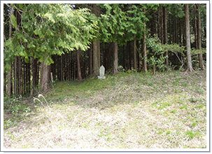 道中は登山道として整備