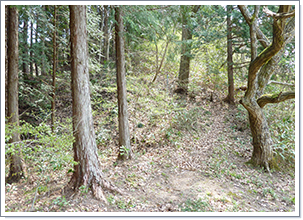 登山道