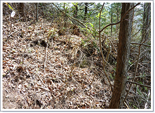 登山道の平削地