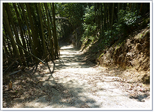 聖神社側からの遊歩道（黒坂陣屋へ）