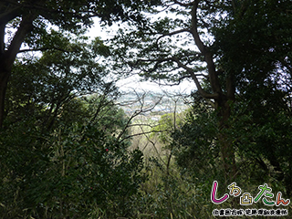 主郭からの遠望