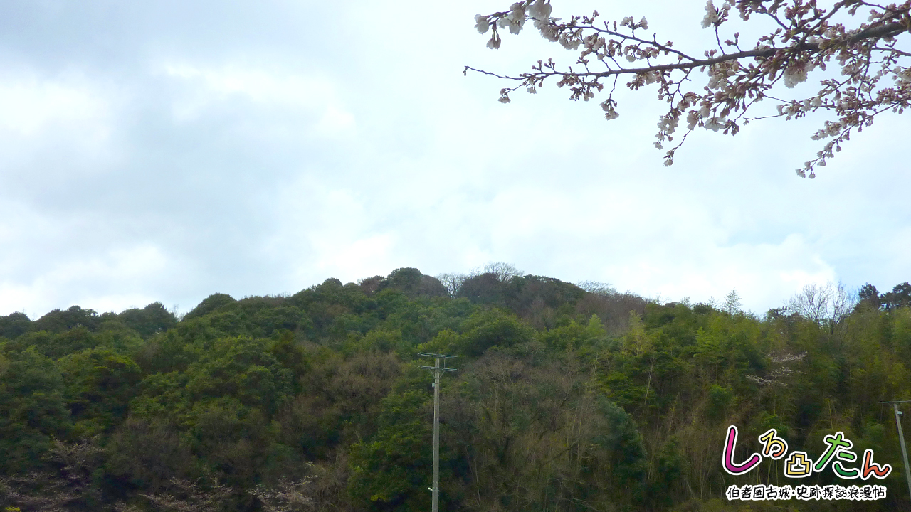 鳥取県東伯郡北栄町国坂 茶臼山城