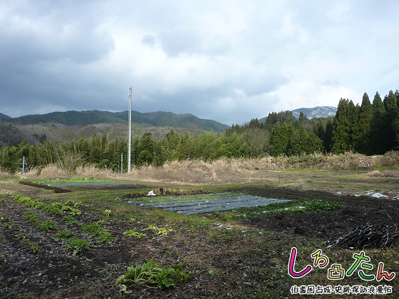 伯耆古城図録またののどいじょう俣野ノ土居城俣野の土居城略測図（鳥取県教育委員会提供）概　略年　表