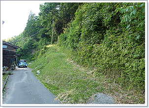 番田稲荷神社への参道