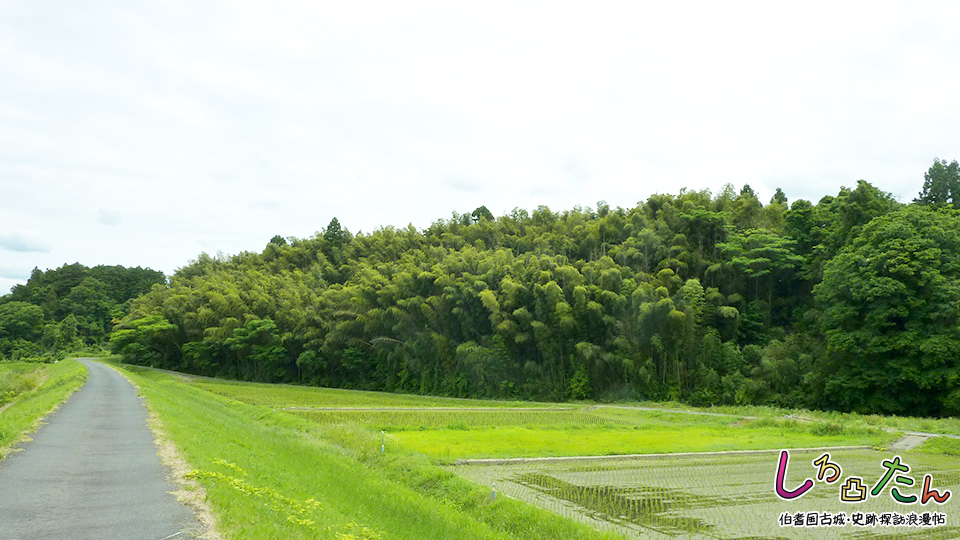 倉吉市上福田 下福田城