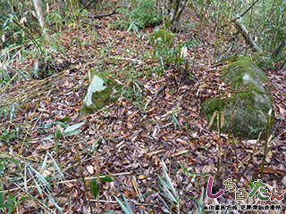 南連郭の石材跡