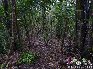 南大郭と主郭の接続郭