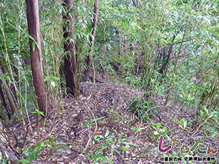 主郭と方形窪地の高低差