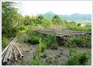 村尾海六の有した居城のひとつ。