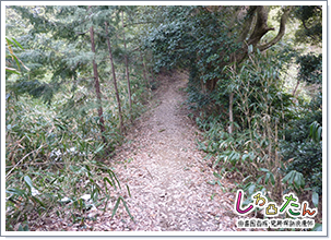 土橋状の登山道